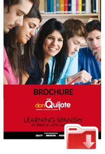 PDF Brochure